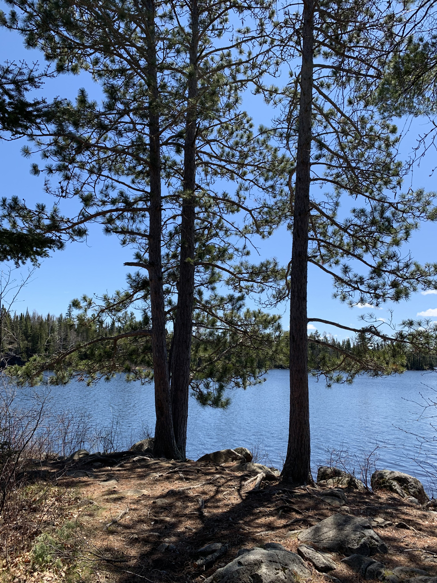 Lake One Campsite 6